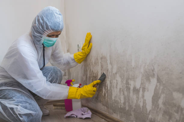 Mold Documentation for Insurance Claims in Clinton, MD